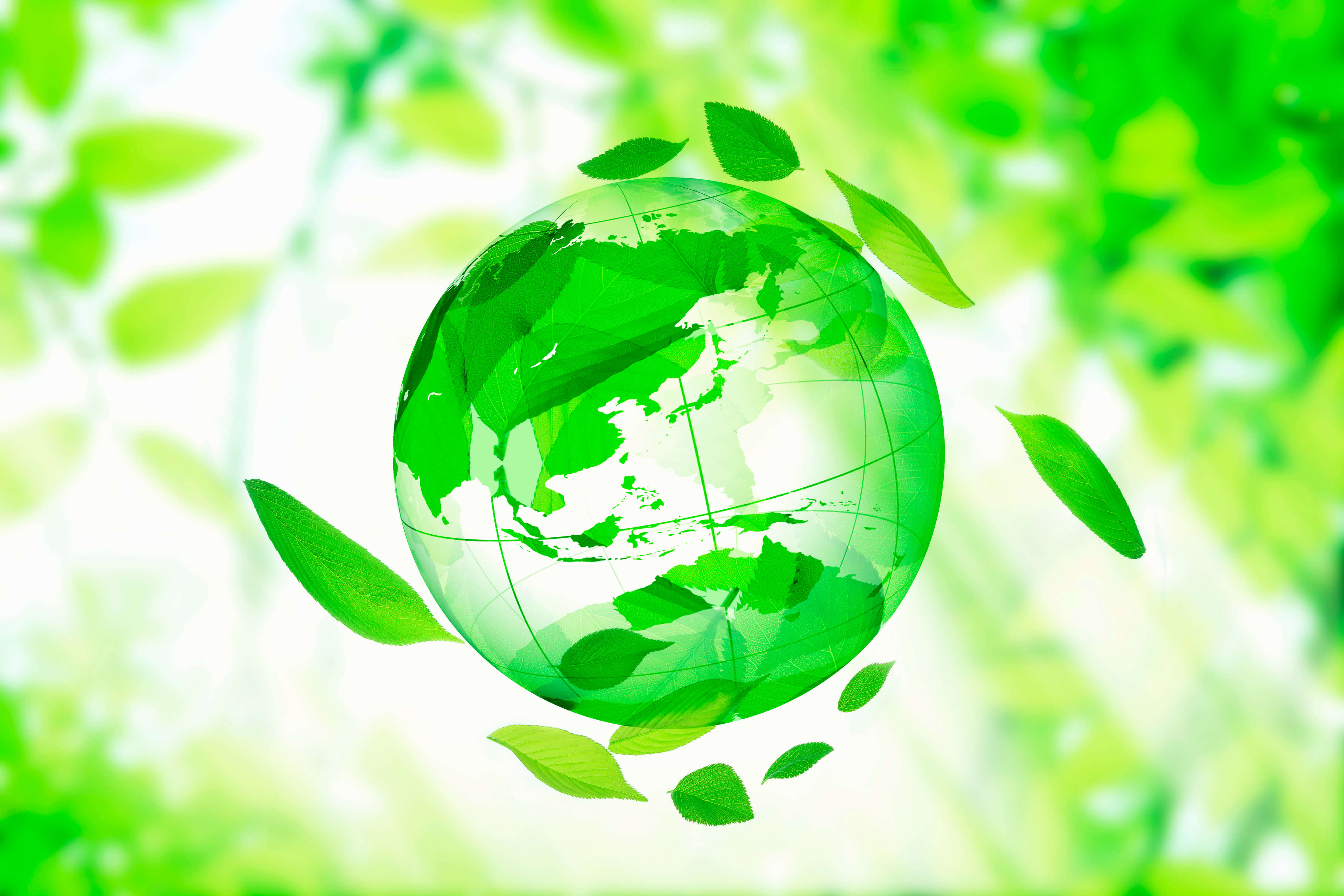 ダミーテキスト 4